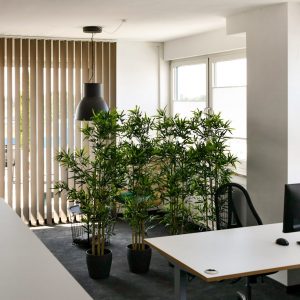 Steuerkanzlei_Stoelzel_Bueroraeume4-aspect-ratio-300x300